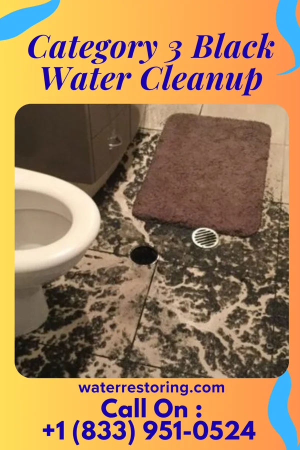 Category 3 Black Water Cleanup in Lake Wazeecha, WI